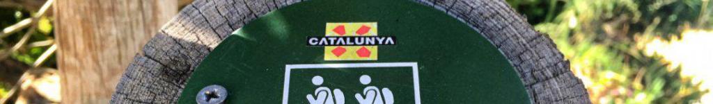 Sonstige Transfer Dienstleistungen